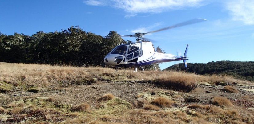 Helibike scenic flights over nelson lakes, southern alps