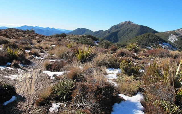 Mt Starveall helicopter mountain bike adventures