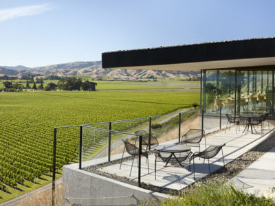 Vineyard Restaurant Terrace View
