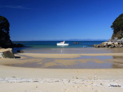 Charter Boat In Able Tasman