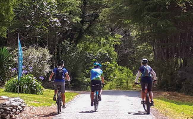 Marlborough Sounds Heli Cycle Tour: guided cycle tours of New Zealand