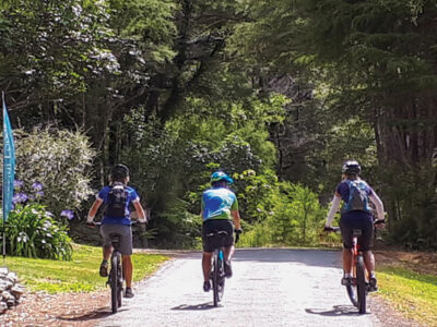 Marlborough Sounds Heli Cycle Tour: guided cycle tours of New Zealand