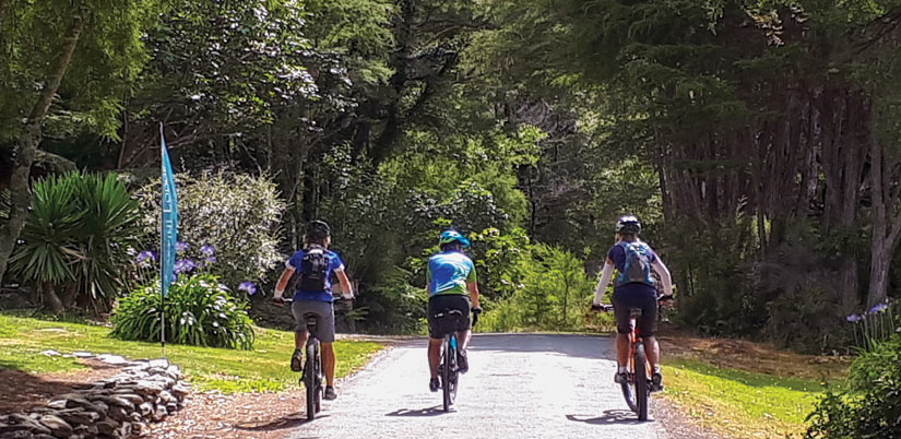 Marlborough Sounds Heli Cycle Tour: guided cycle tours of New Zealand