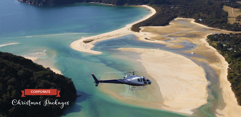 Abel Tasman National Park Xmas Scenic Helicopter Flights