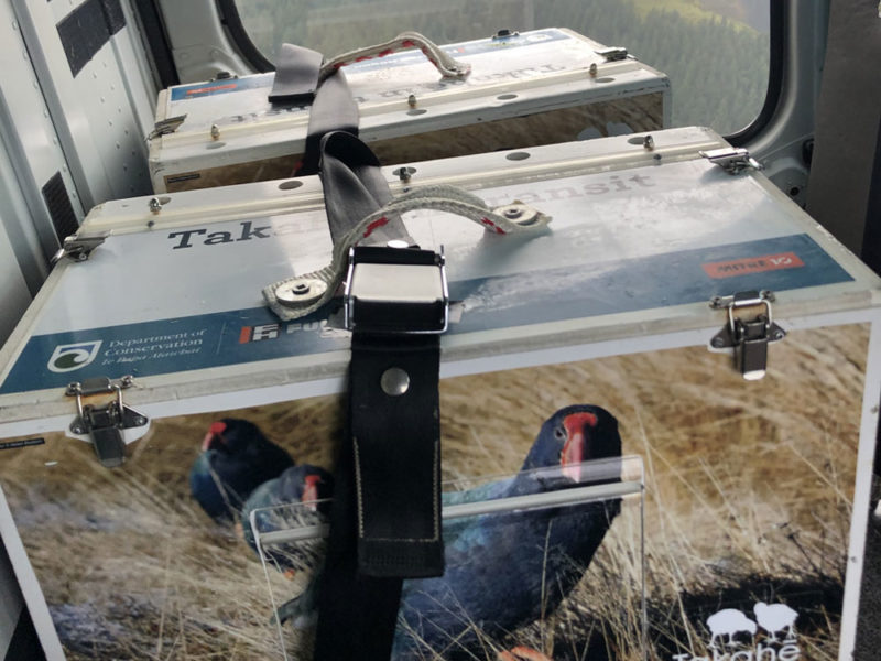 Bird boxes in helicopter