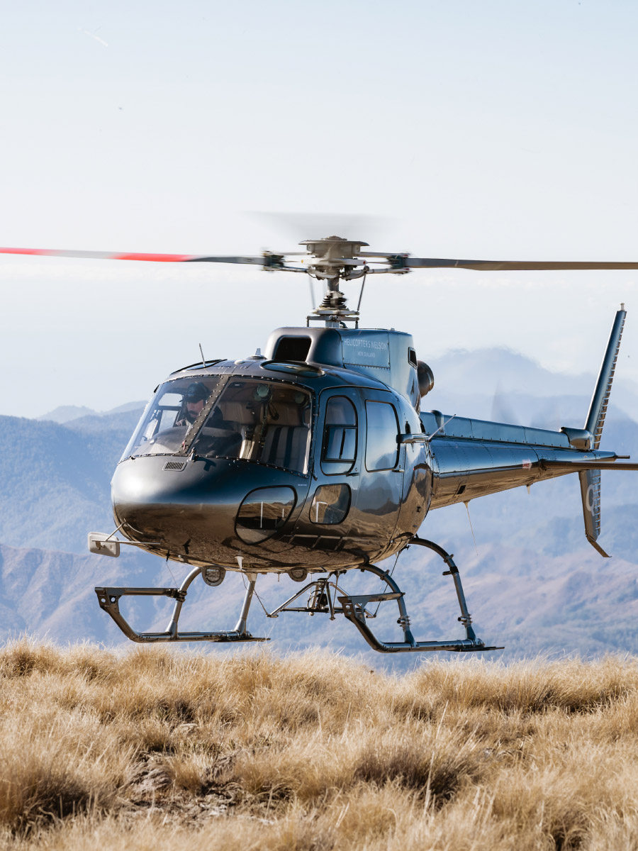 Pilot Training Nelson Helicopters